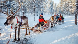 BBC Travel Show  Finnish lapland week 51 [upl. by Glorianna678]