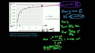 MichaelisMenten Plot Determine 4 Kinetic Parameters Part 1 [upl. by Elyse]