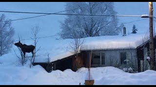 What its like to Live in Alaska Fairbanks Alaska [upl. by Aurilia]