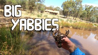 Catching BIG Yabbies from a SMALL Dam  Ep 20 [upl. by Parent]