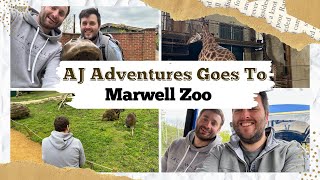 AJ Adventures Goes To Marwell Zoo [upl. by Ahsie830]