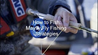 How to Fish Mayfly Fly Fishing Strategies  GoFishBC [upl. by Ardnaz562]