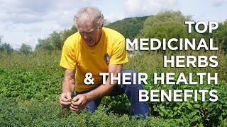 Top Medicinal Herbs Medicinal Uses and Health Benefits [upl. by Ainej]