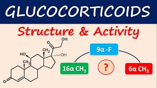 Glucocorticoids  Structure and activity [upl. by Olotrab]