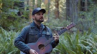 quotOoDeLallyquot live from Redwood National Park Roger Miller coverRobin Hood  Adam Chance [upl. by Pani]