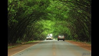 10 lugares exóticos del Paraguay Vídeo [upl. by Aralc274]