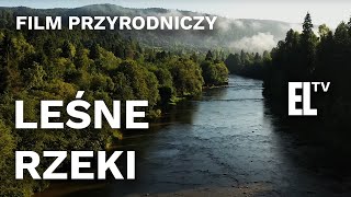 Leśne rzeki FILM PRZYRODNICZY [upl. by Livvy]