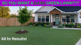 Ironite vs Liquid Iron for a DARK GREEN LAWN [upl. by Hplodnar]