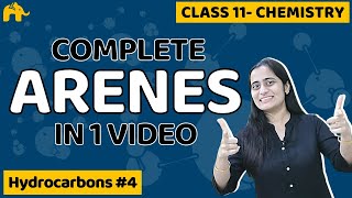 Hydrocarbons Chemistry Class 11 Arenes  CBSE NEET JEE [upl. by Rather515]