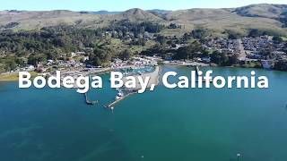 Tour of Bodega Bay California from the sky [upl. by Mallis460]