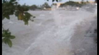 Shocking Footage of the 2011 Tsunami Hitting Hawaii [upl. by Ellord663]