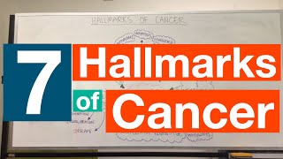 Hallmarks of Cancer  Pathophysiology [upl. by Nnylyahs]