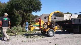 Vermeer BC 700 XL chipper demo [upl. by Mitchael773]