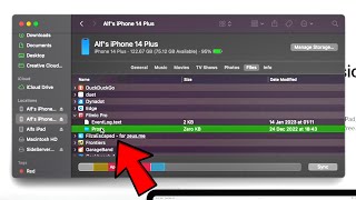 How To Access All iPhone files from PC [upl. by Ynos]