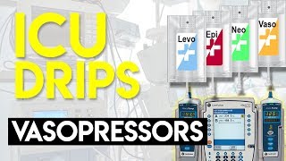 Vasopressors Part 1  ICU Drips [upl. by Salema178]