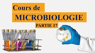 Cours de microbiologie partie 17 métabolisme bactérien [upl. by Auqenet]