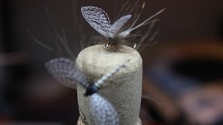 Mayfly with wally wing dry fly [upl. by Aneekahs]