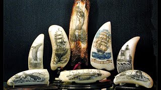 Scrimshanders Gallery  Honoring the CenturiesOld Art of Scrimshaw [upl. by Parthinia]