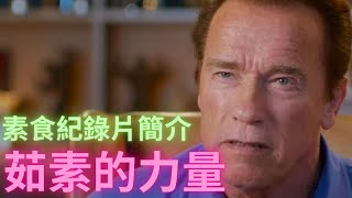 20221216 素食紀錄片簡介 茹素的力量 Vegetarian Documentary Film The Game Changers [upl. by Eittik]