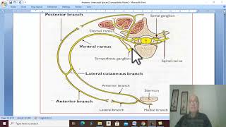 Respiratory module 22  Intercostal and subcostal nerves  by Dr Wahdan [upl. by Rheinlander]