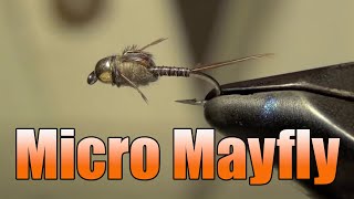 Micro Mayfly Fly Tying  Mike Mercer Fly Pattern [upl. by Odlaner]