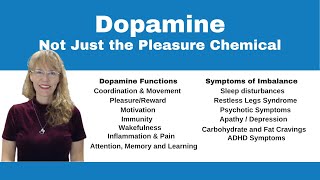 Demystifying Neurotransmitters Serotonin Dopamine and Beyond [upl. by Wehtam91]