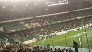 Real Betis  Dicen que estamos LOCOS de la cabeza [upl. by Ailsun]