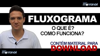 Fluxograma o que é fluxograma Como funciona [upl. by Earej217]