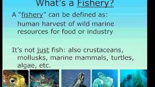 Fisheries Management Intro part 1 [upl. by Eilata777]