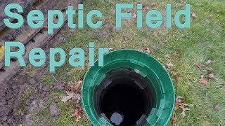 Septic Field Restoration [upl. by Jereme]