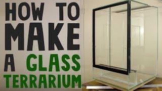 How to build a glass terrarium vivarium [upl. by Raquel]