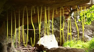 Idiosyncrasy Arkansas Bouldering [upl. by Arvin]