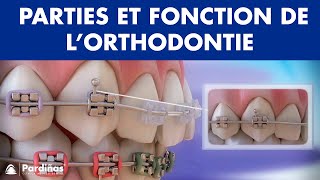 Appareil dentaire – Parties et fonction de l’orthodontie © [upl. by Herb]