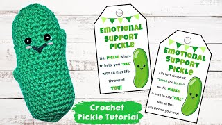 How to Crochet a Pickle  DIY Crochet Plushie [upl. by Rezal]