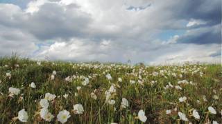 Discover Americas heartland the Great Plains [upl. by Marylynne]