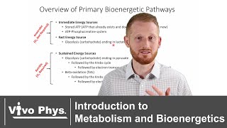 Introduction to Metabolism and Bioenergetics [upl. by Codie]