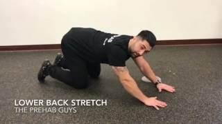 Childs pose low back stretch [upl. by Alves]