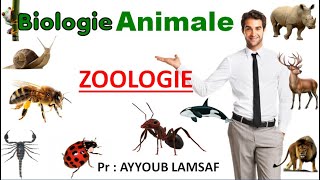 zoologie biologie animale [upl. by Nnateragram]