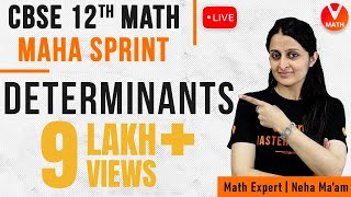 Complete Determinants Chapter with Problems  Determinants Class 12  CBSENCERT Maths  Vedantu [upl. by Idel]