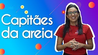 Capitães da Areia  Análise Literária  Brasil Escola [upl. by Rico]