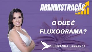 O que é um fluxograma [upl. by Bradford39]