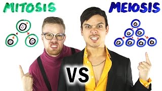 Mitosis vs Meiosis Rap Battle  SCIENCE SONGS [upl. by Guinevere]