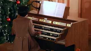 T Albinoni  Adagio in G minor for Organ and Strings [upl. by Ahsias]