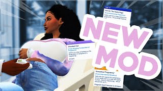 REALISTIC WOOHOO RISK PLANNING amp INTERACTIONS The Sims 4 Mods [upl. by Greene]