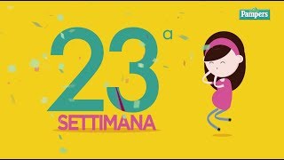 23° settimana di gravidanza [upl. by Monjo]