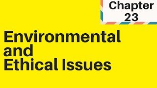 62 Environmental and Ethical Issues IGCSE Business Studies [upl. by Waddington488]