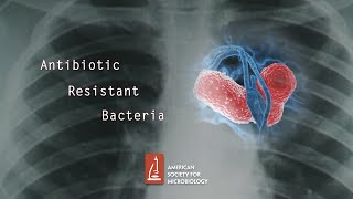 Antibiotic Resistant Bacteria [upl. by Nahs458]