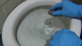 How to Get Rid of Hard Water Stains in Toilet with Pumice Stone [upl. by Lippold]