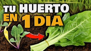 Haz tu HUERTO en Casa SIN COMPRAR SEMILLAS PLANTAS EN SOLO 1 DÍA  Huerto Urbano con POCO ESPACIO [upl. by Earesed214]