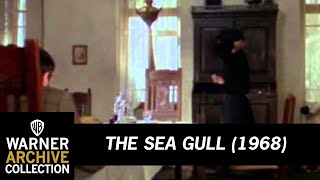 Preview Clip  The Sea Gull  Warner Archive [upl. by Sirad]